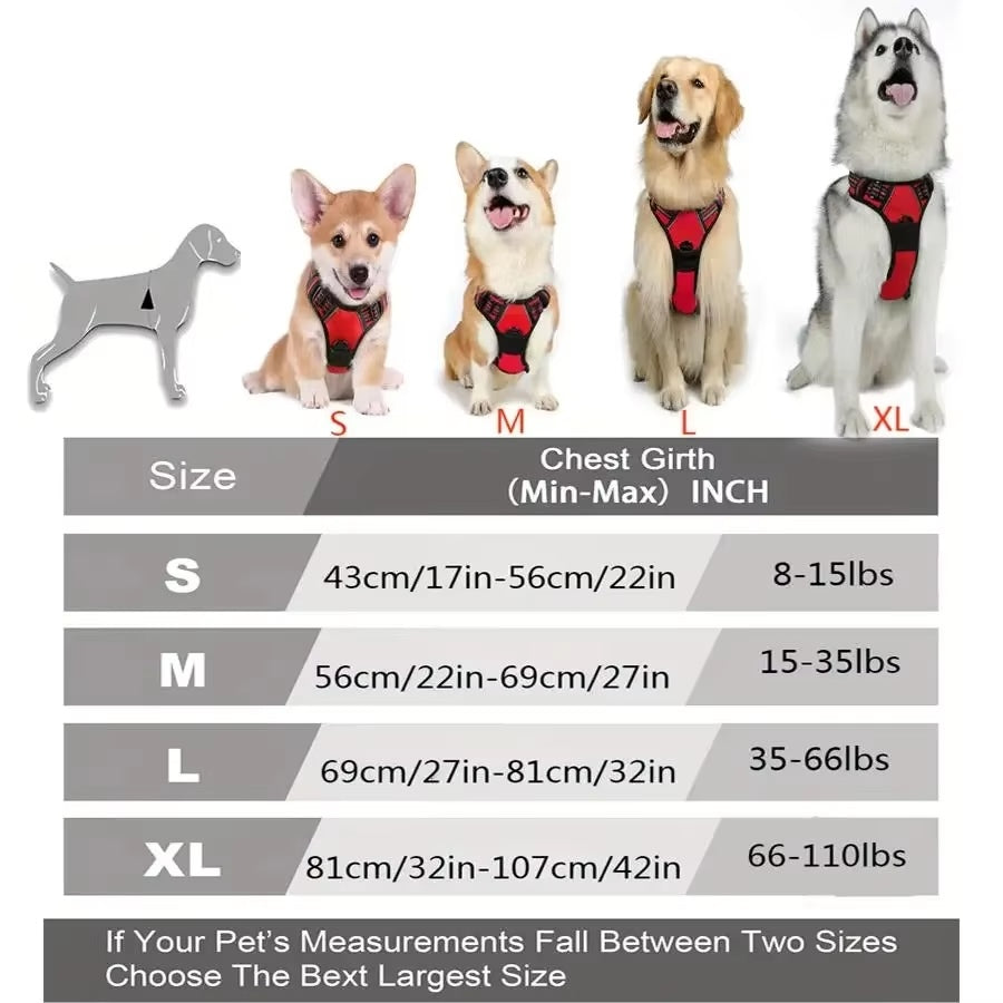 Durable Dog Harness & Leash Set with Safety Buckle – All Sizes