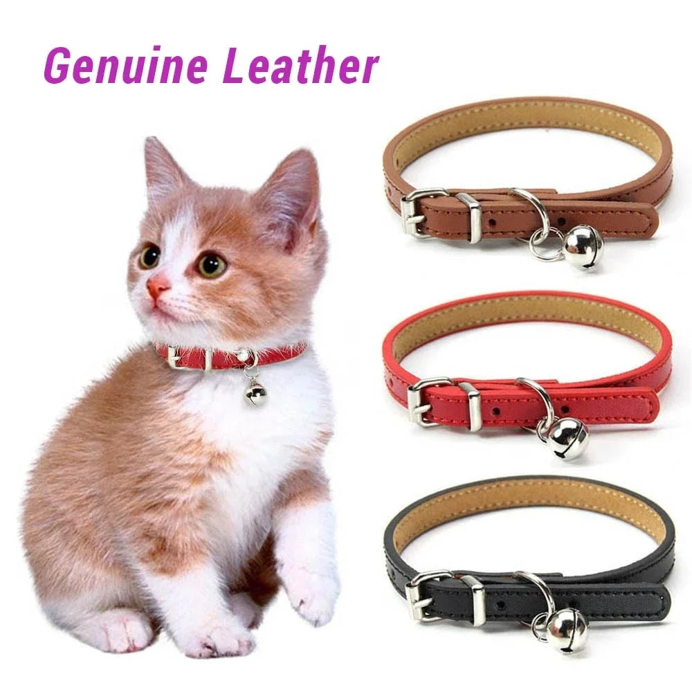 Soft Leather Cat Collar with Bell – Adjustable Kitten Accessory