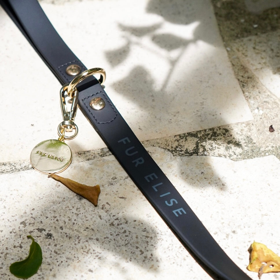 Black dog collar with gold tag and charm on a textured surface