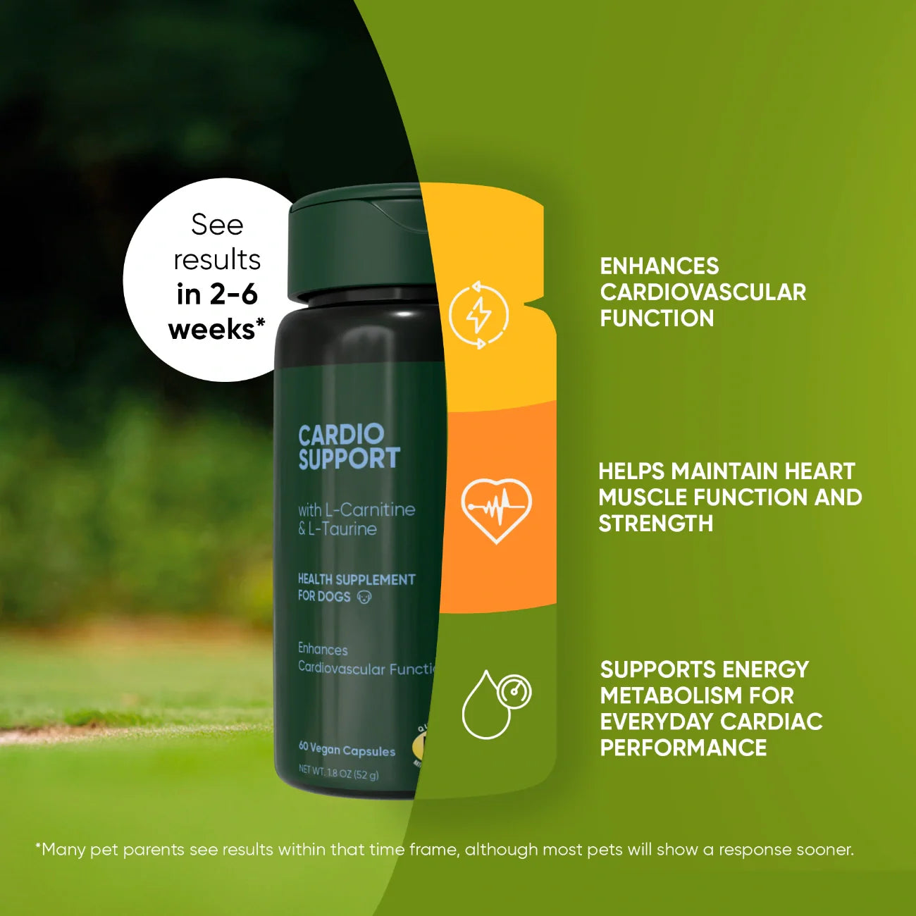 Supplement bottle labeled 'Cardio Support' with green background and text about supplement benefits.