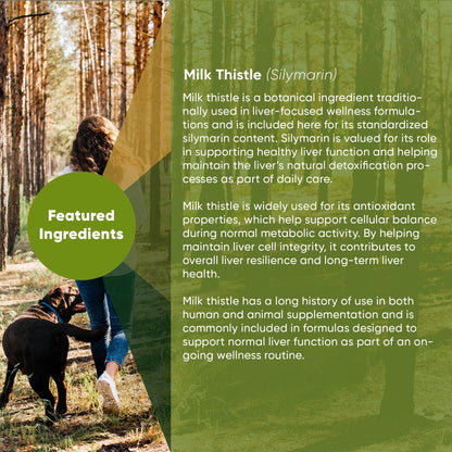 Person walking a dog in a forest with text about milk thistle on a green background