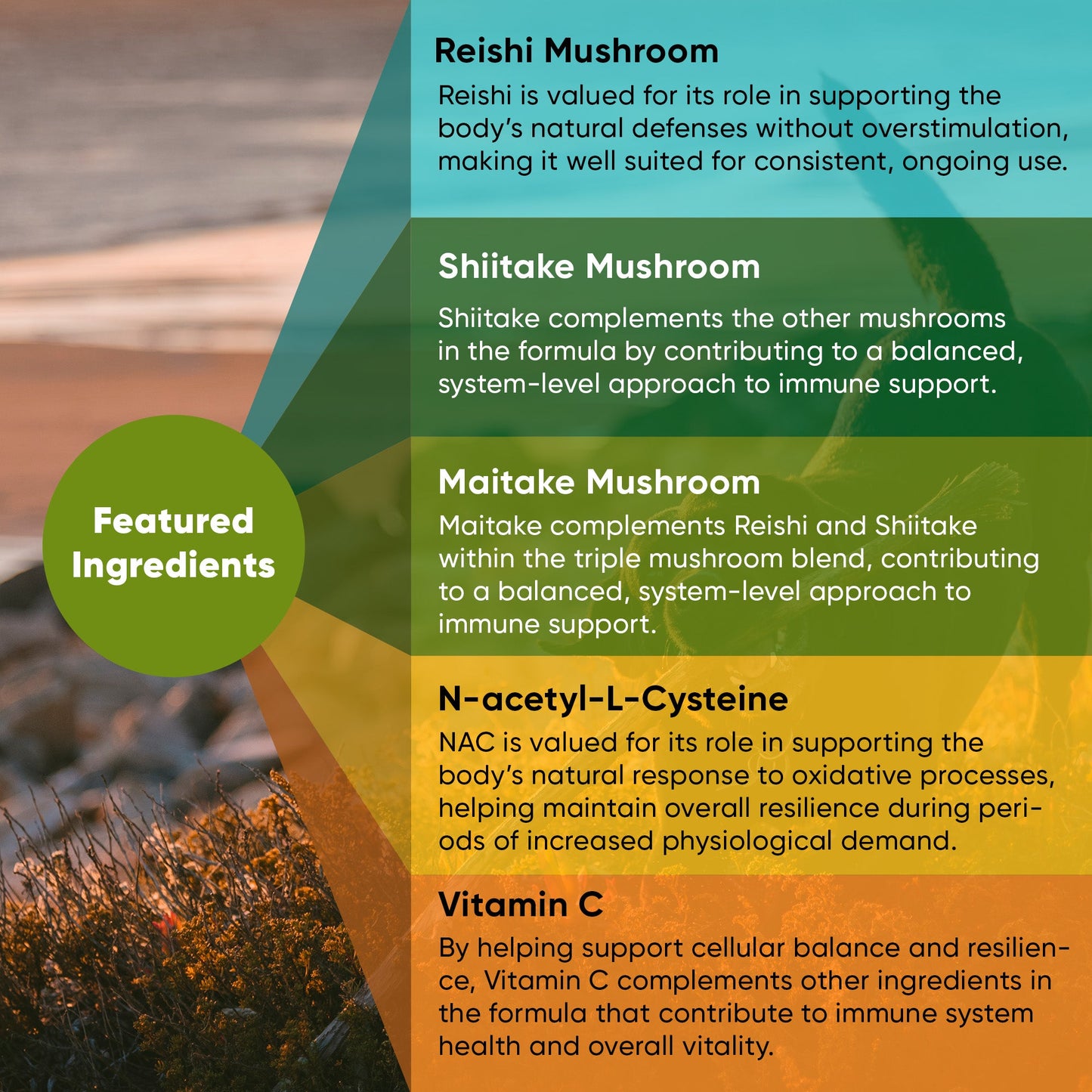 Product label with featured ingredients and their benefits, set against a natural background.