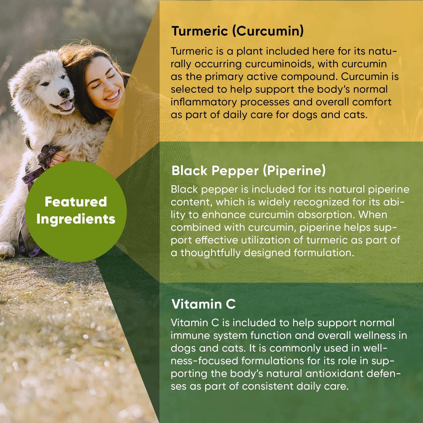 Woman holding a dog with text about turmeric, black pepper, and vitamin C as featured ingredients.