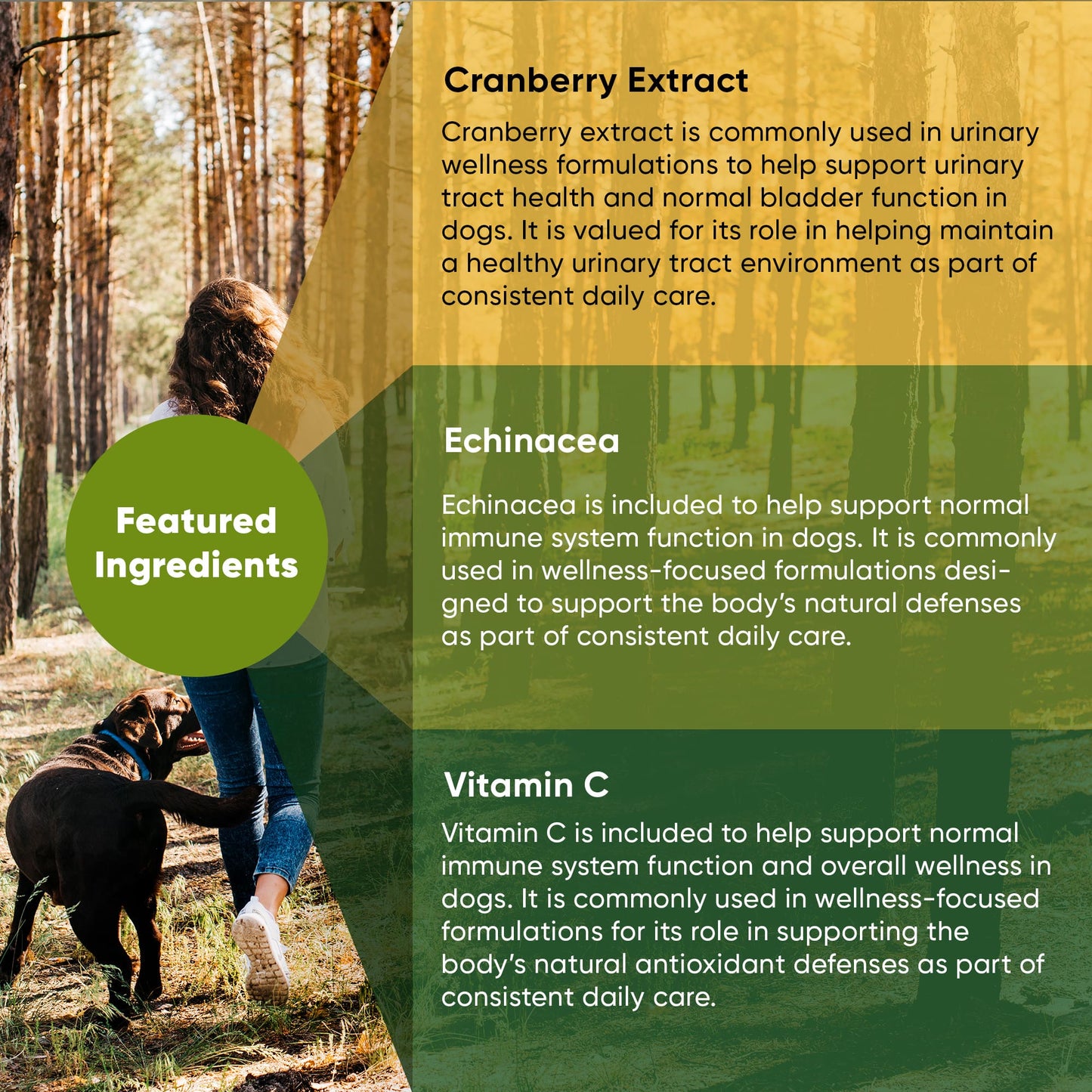 Woman walking a dog in a forest with product information about cranberry extract, echinacea, and vitamin C on a yellow and green background.