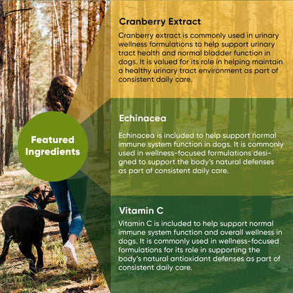 Woman walking a dog in a forest with product information about cranberry extract, echinacea, and vitamin C on a yellow and green background.