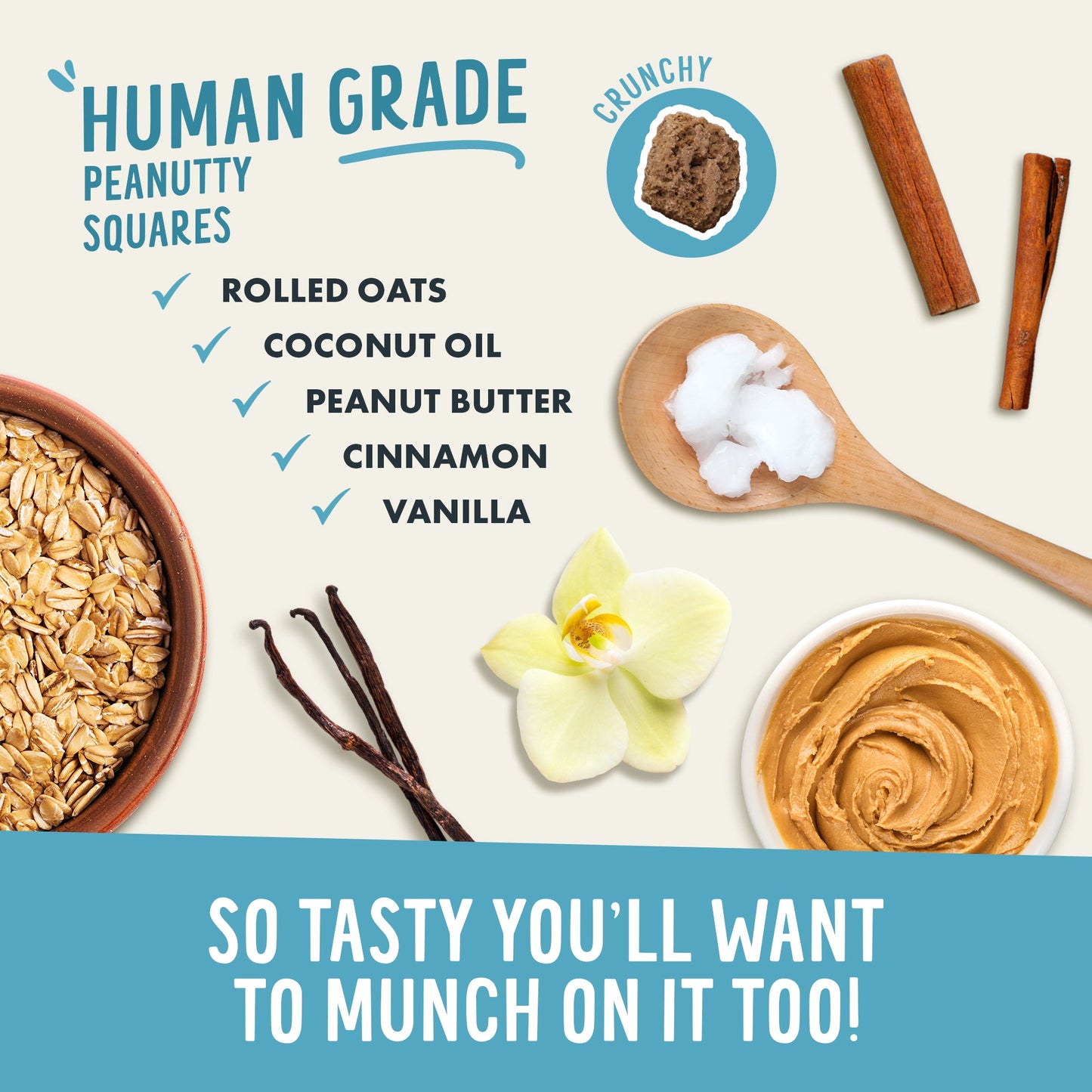 Ingredients for Human Grade Peanutty Squares with rolled oats, coconut oil, peanut butter, cinnamon, and vanilla.