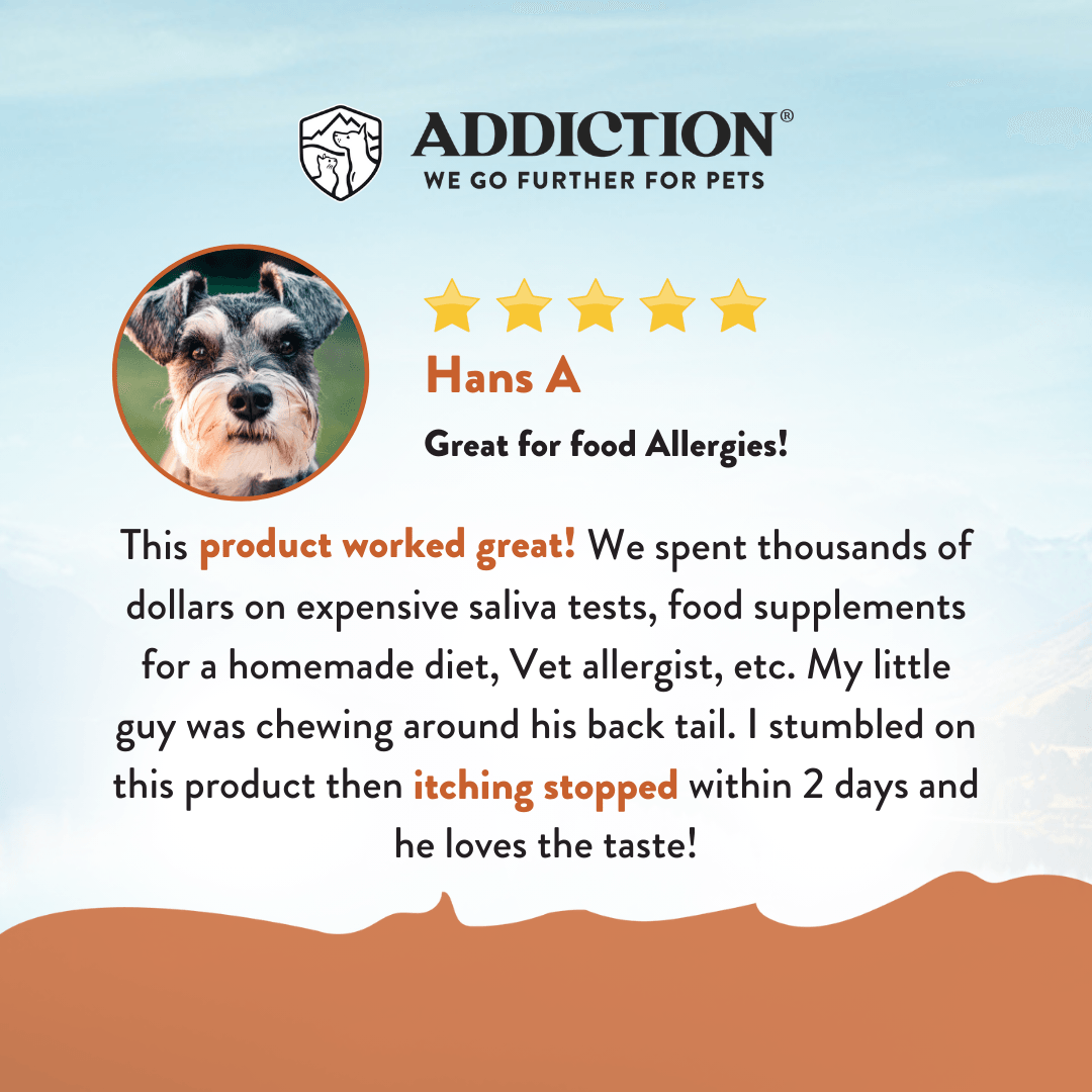 Product review for a pet supplement with a dog's face and five-star rating on a blue background.