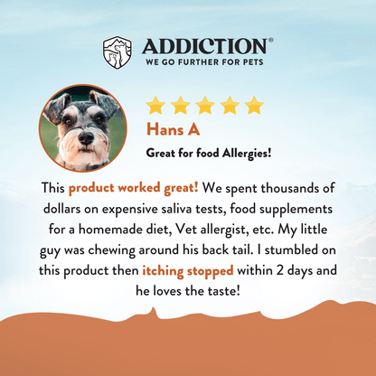 Product review for a pet supplement with a dog's face and five-star rating on a blue background.