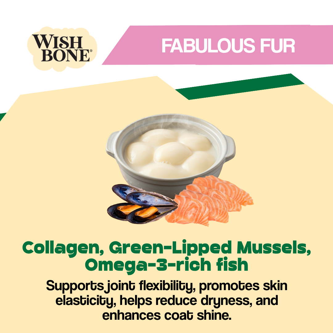 Advertisement for Wish Bone pet food with ingredients listed on a beige background