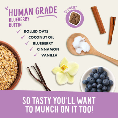 Ingredients of Human Grade Blueberry Ruffin with rolled oats, coconut oil, blueberries, cinnamon, and vanilla on a white background.