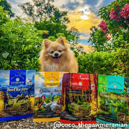 Dog standing behind a row of Addiction Pet Food packages with a garden background