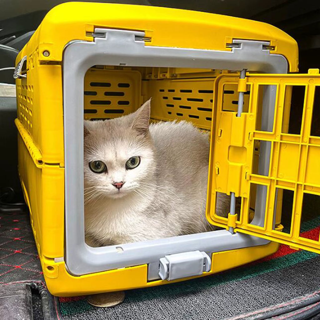 Collapsible Pet Carrier Crate – Foldable Cat & Puppy Travel Cage