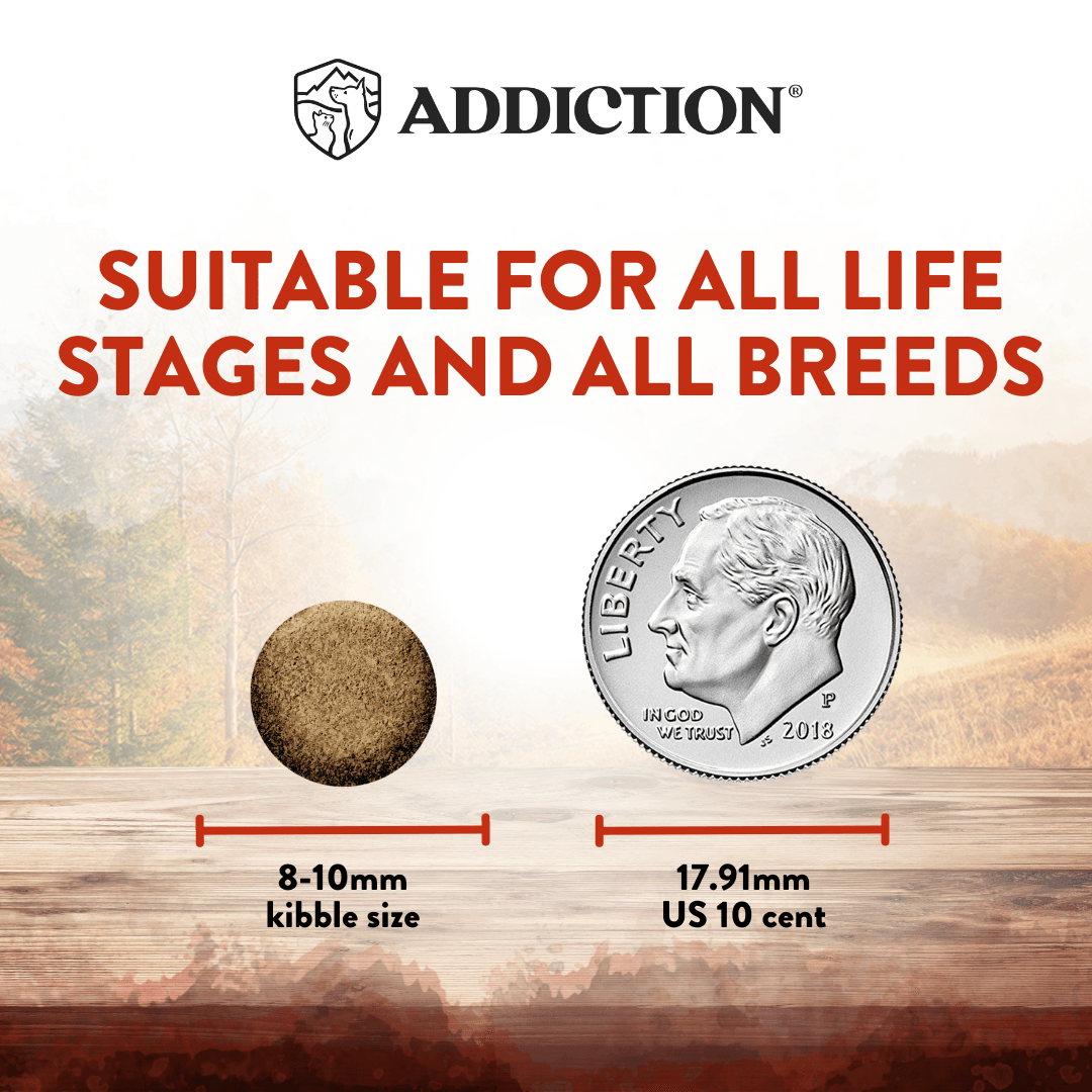 Dog food kibble size comparison with a coin, labeled 'Addiction' brand.