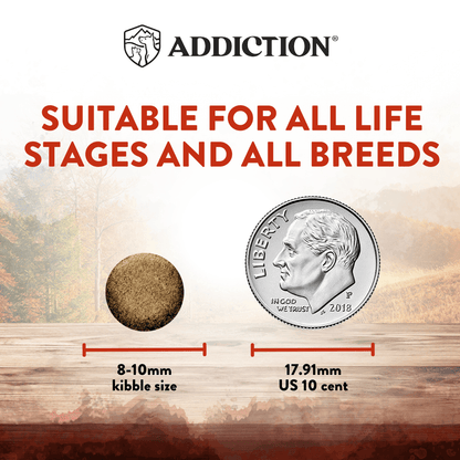 Dog food kibble size comparison with a coin, labeled 'Addiction' brand.