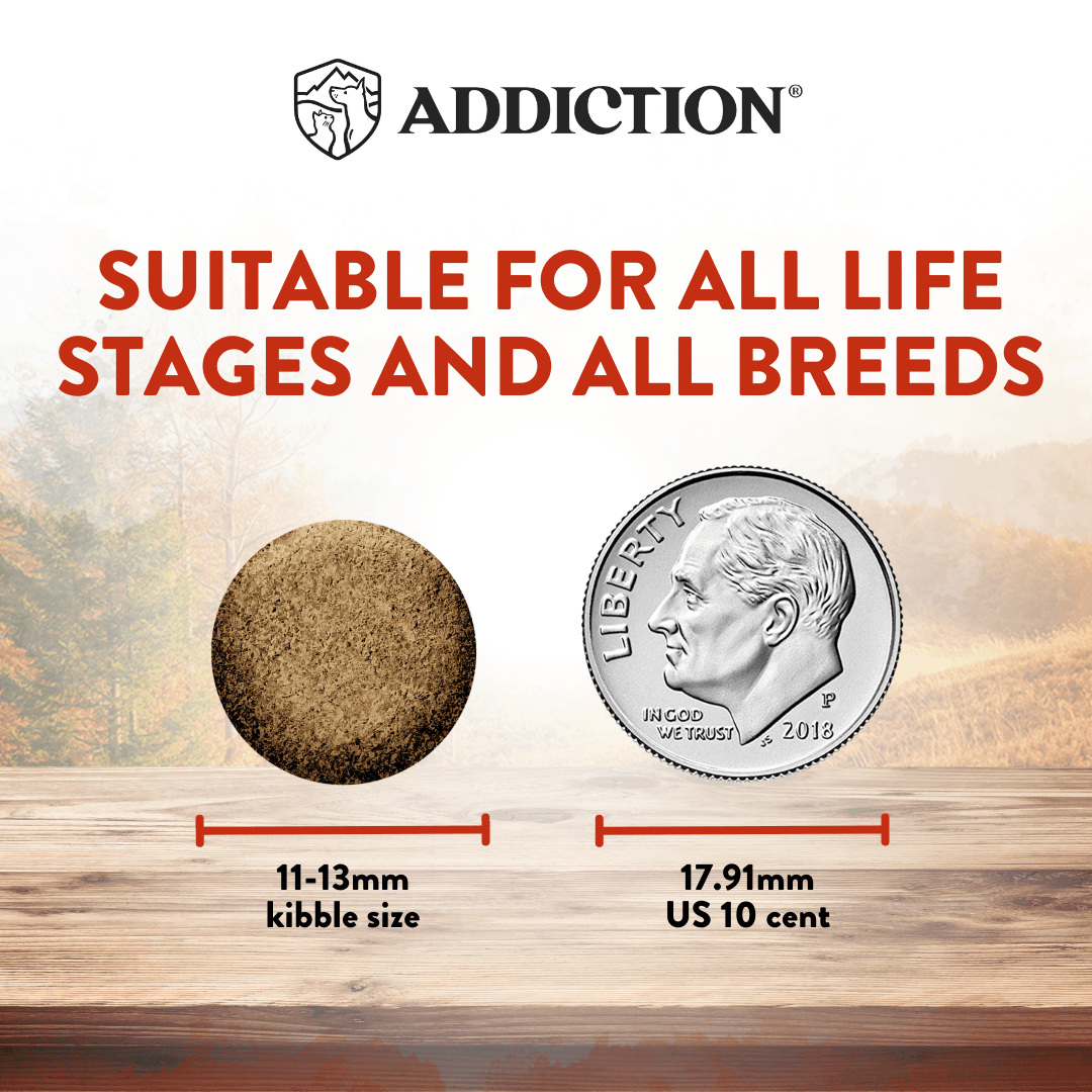 Dog food kibble size comparison with a US dime, labeled 'Addiction' brand.