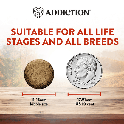 Dog food kibble size comparison with a US dime, labeled 'Addiction' brand.