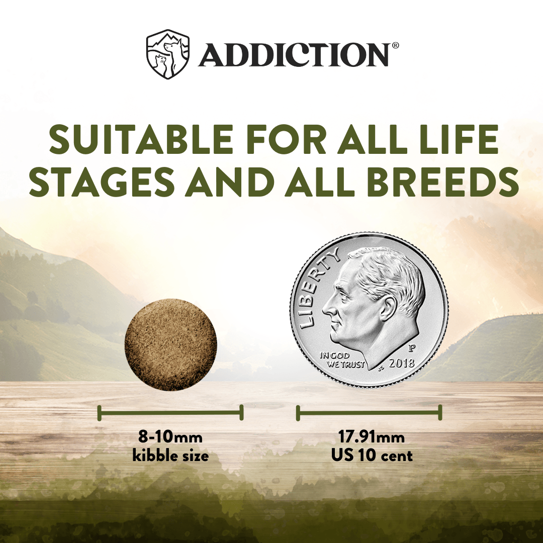 Dog food kibble size comparison with a US dime, labeled 'Addiction' brand.