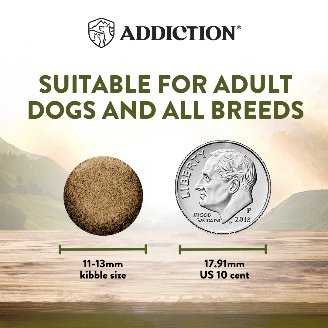 Dog food kibble size comparison with a US coin on a wooden surface, featuring the Addiction brand.