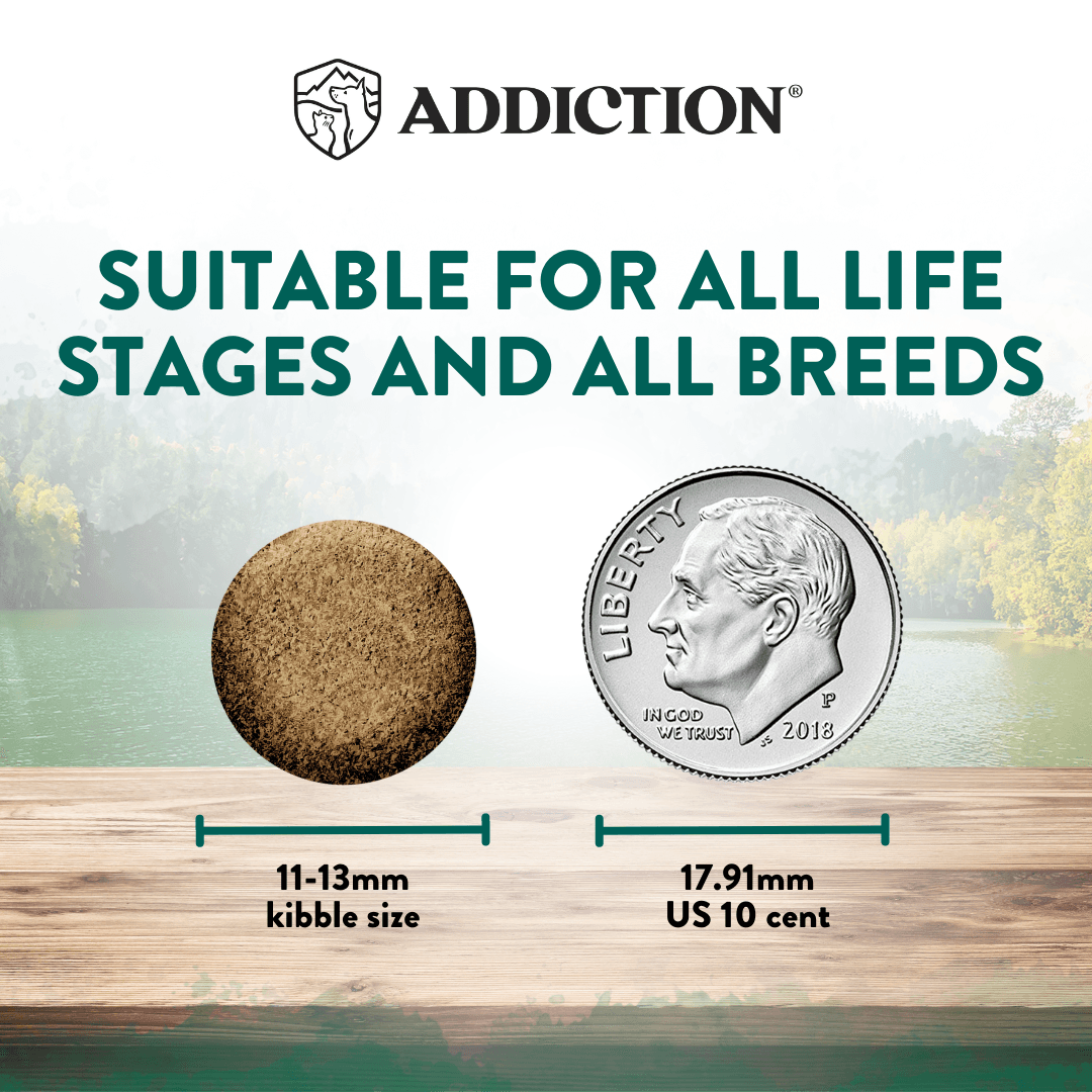 Dog food kibble size comparison with a US dime, labeled 'Addiction' brand.