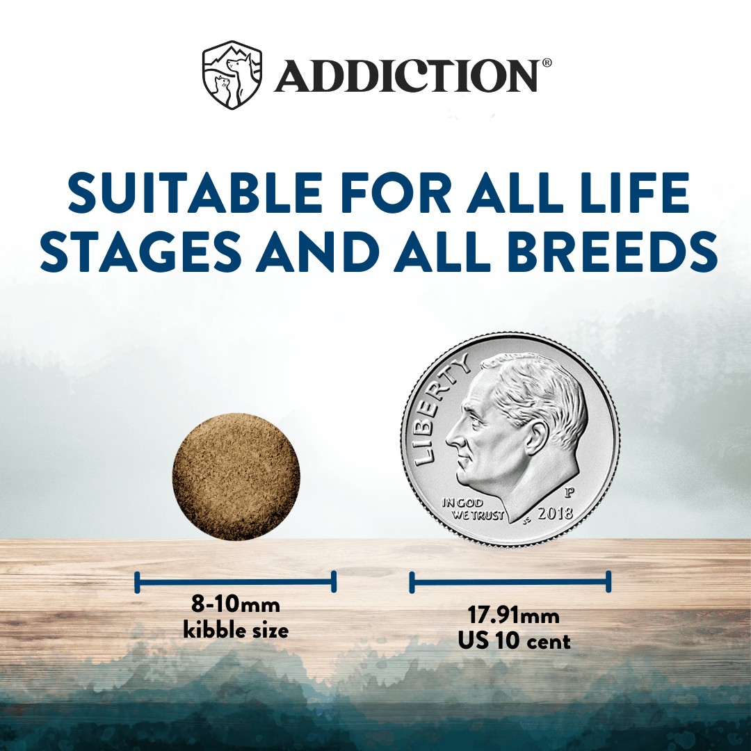 Dog food kibble size comparison with a US quarter coin on a wooden surface, featuring the Addiction brand.