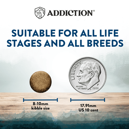 Dog food kibble size comparison with a US quarter coin on a wooden surface, featuring the Addiction brand.