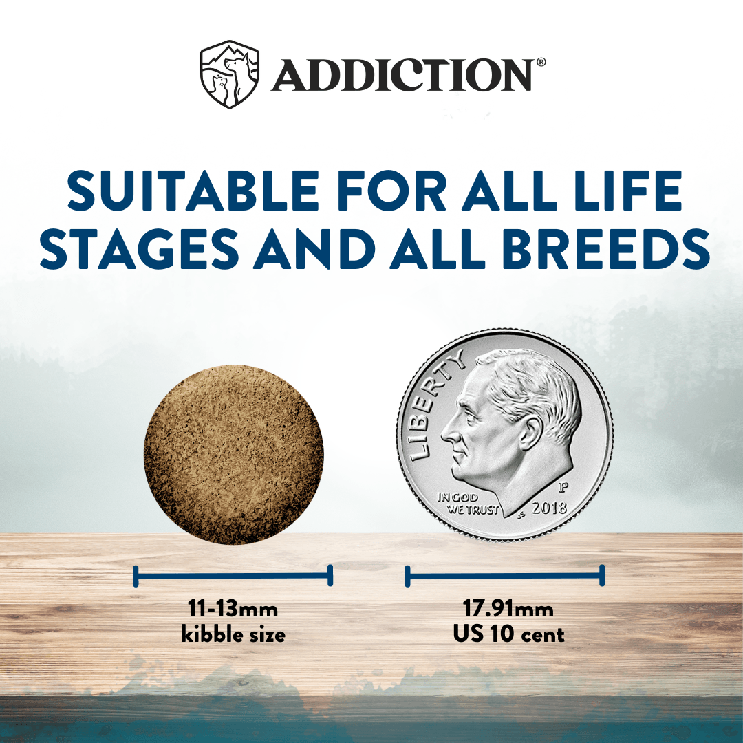 Kibble size comparison with a US dime, indicating suitability for all life stages and breeds, branded as 'Addiction'.