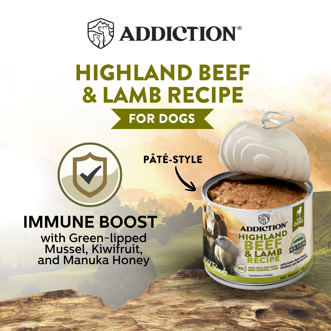 Addiction Highland Beef & Lamb Recipe for dogs can on a wooden surface with a scenic background