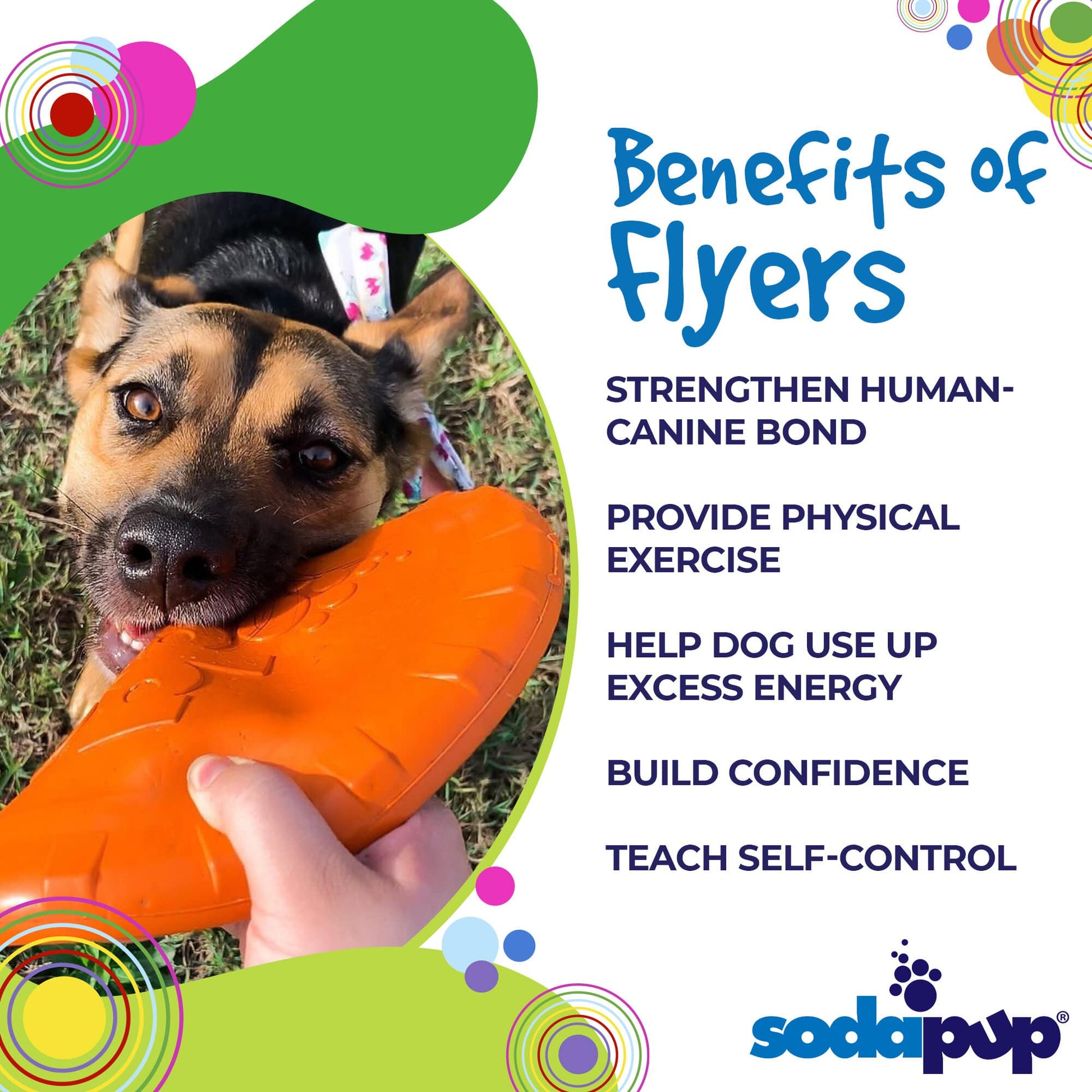 Dog holding an orange flyer with text listing benefits of using flyers, branded as SodaPup.