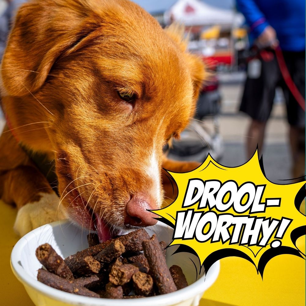 Dog eating from a bowl with 'DROOL-WORTHY!' text overlay