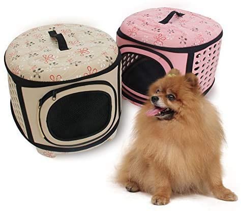 Small dog sitting next to two pet carriers, one beige with floral pattern and one pink with black interior.