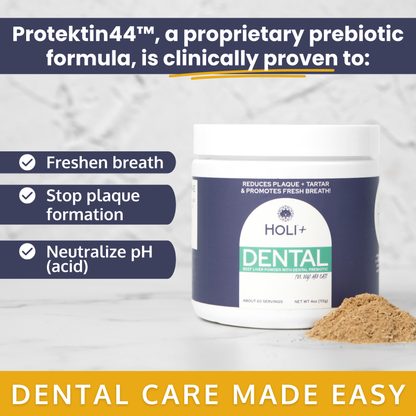 HOLI+ Dental product with text highlighting benefits on a white background