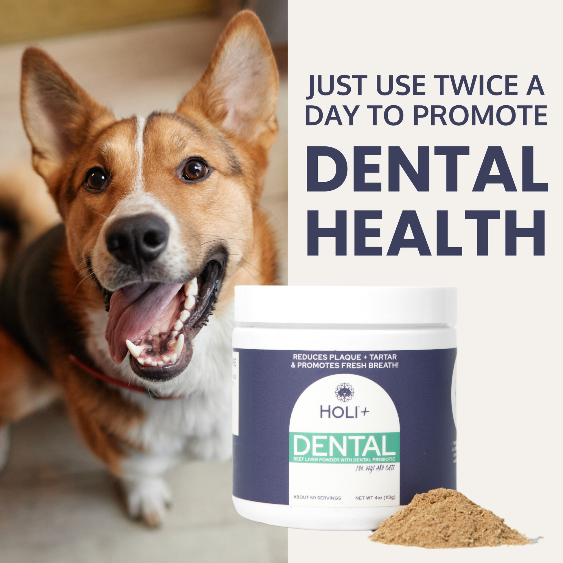 Dog with open mouth showing teeth, next to a container of Holi+ Dental product with text about dental health.