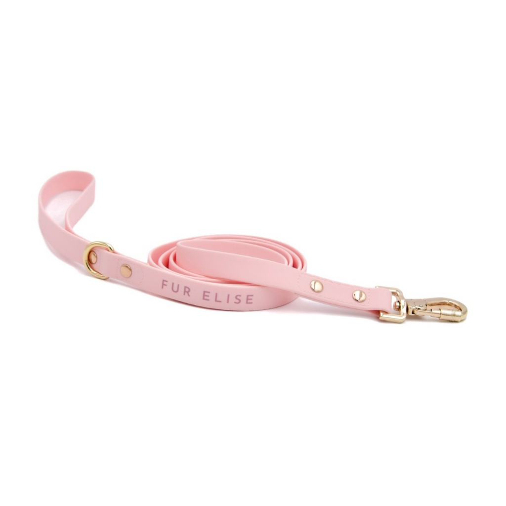 Pink dog leash with gold hardware on a white background