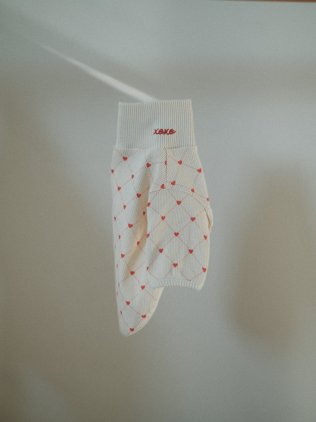 White dog clothe with red heart pattern