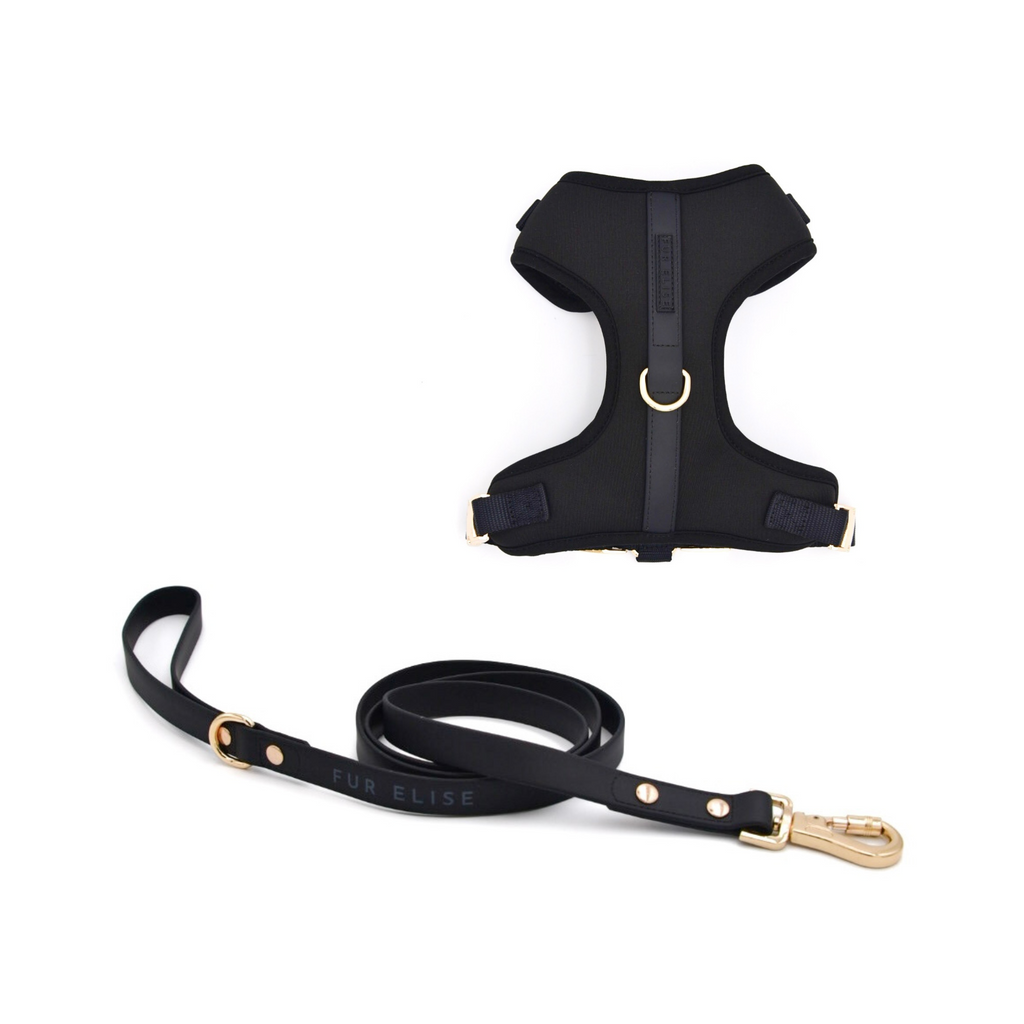Black dog harness and leash set on a white background