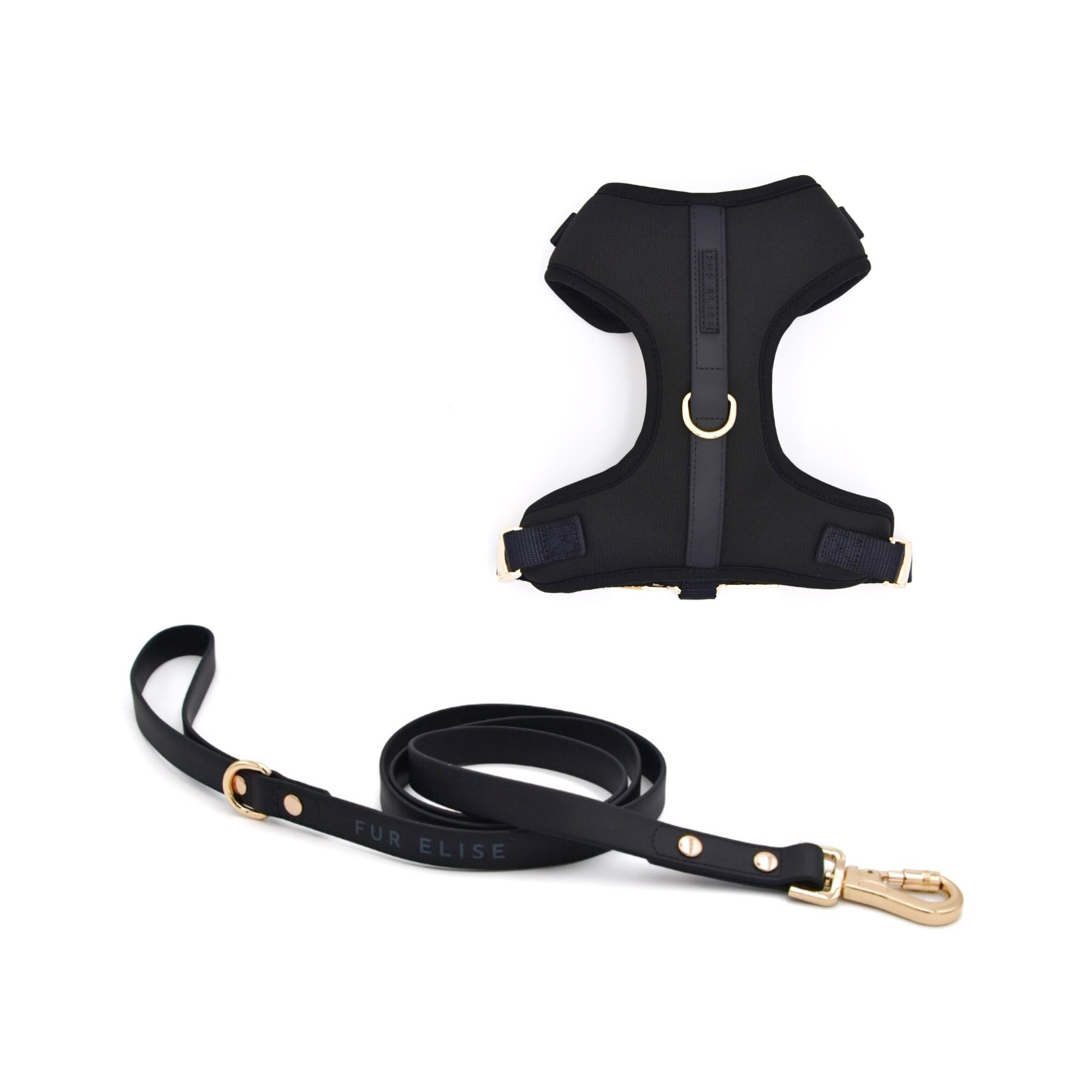 Black dog harness and leash set on a white background