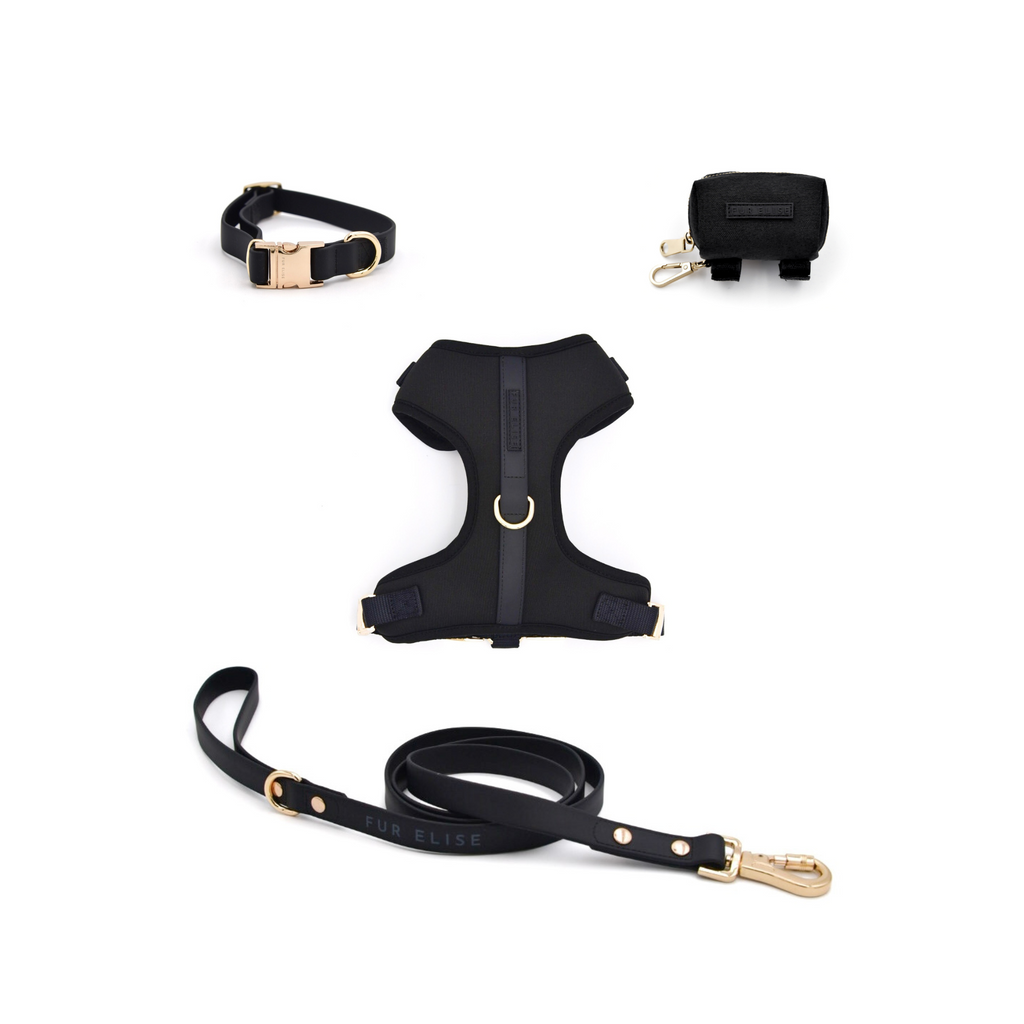 Dog harness, collar, and leash set on a white background