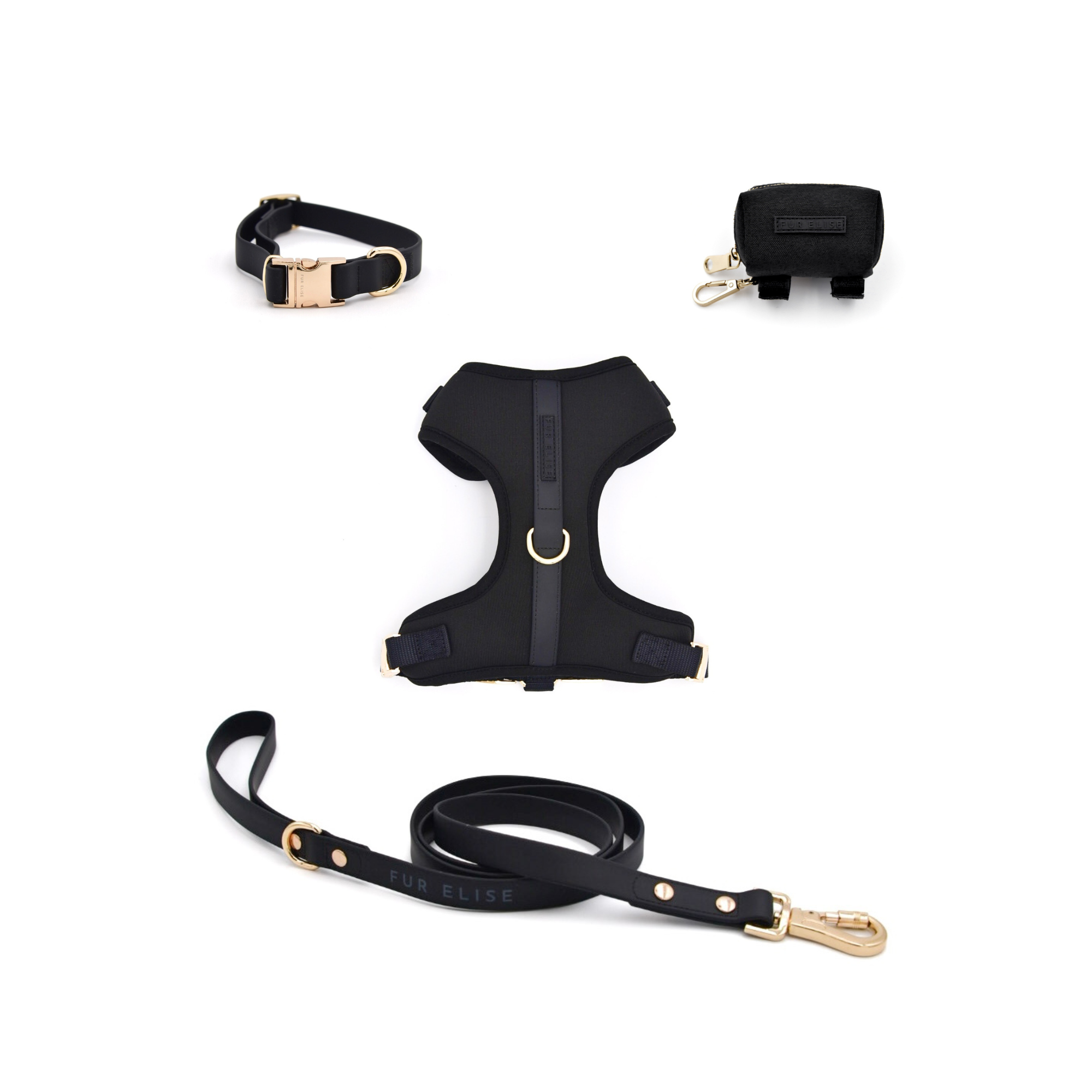 Dog harness, collar, and leash set on a white background
