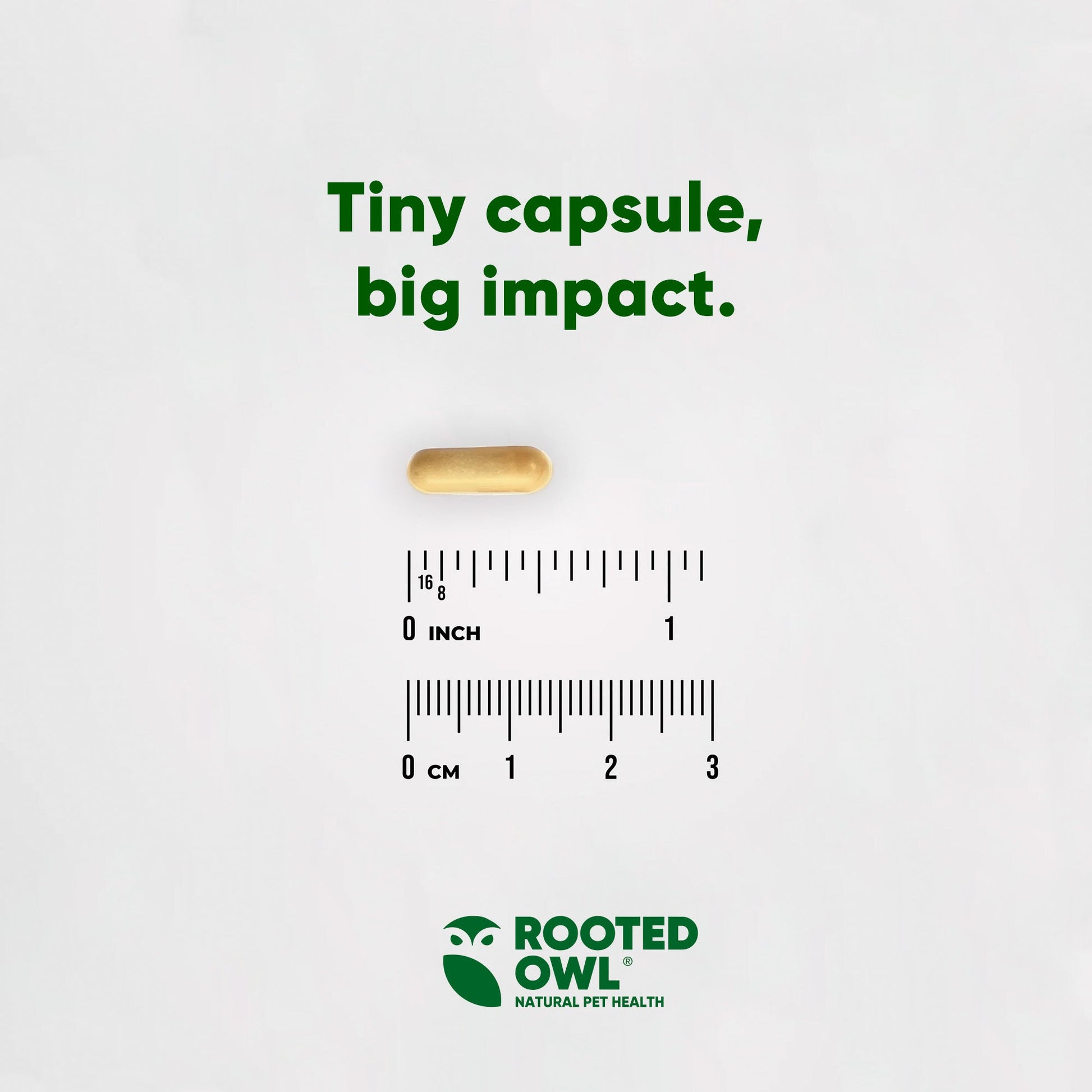 Tiny capsule with a ruler for scale and 'Rooted Owl' branding on a white background