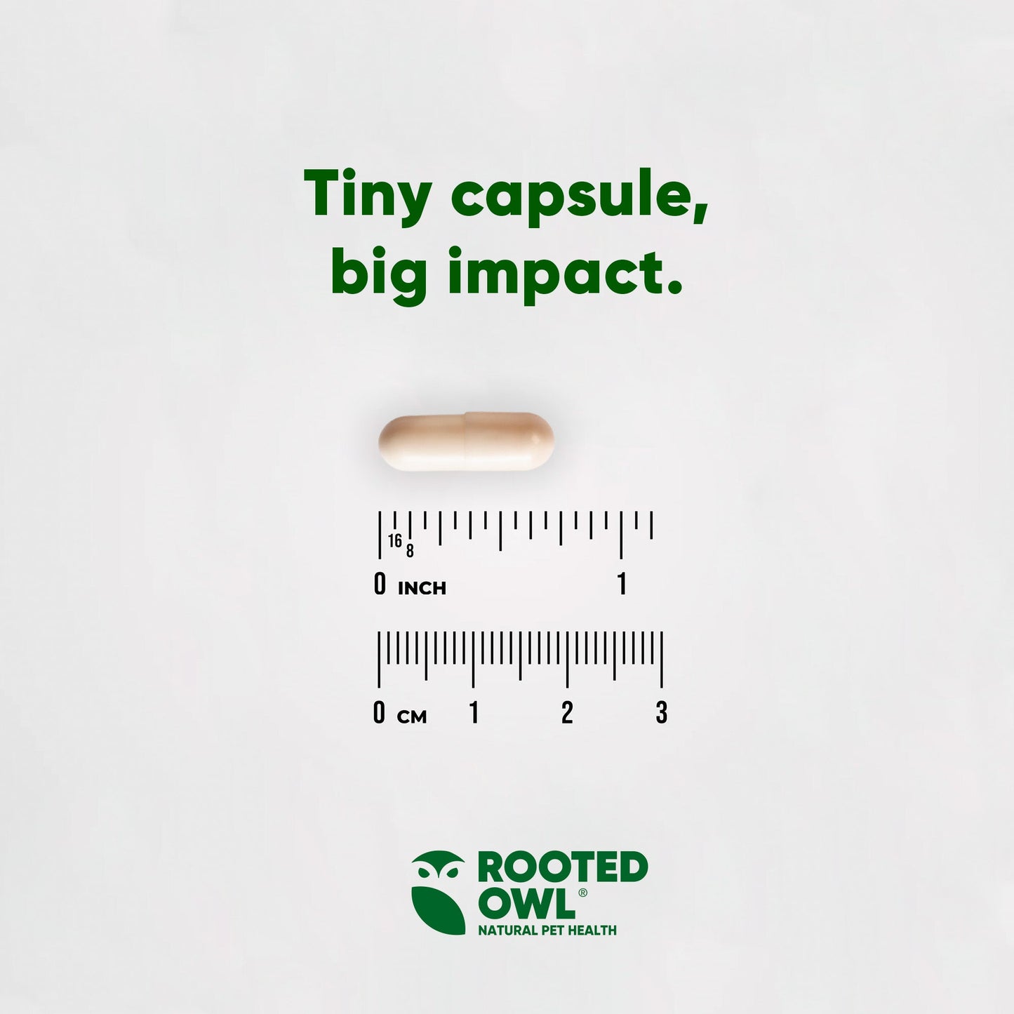 Small capsule with a ruler for scale and 'Rooted Owl' branding on a light gray background.