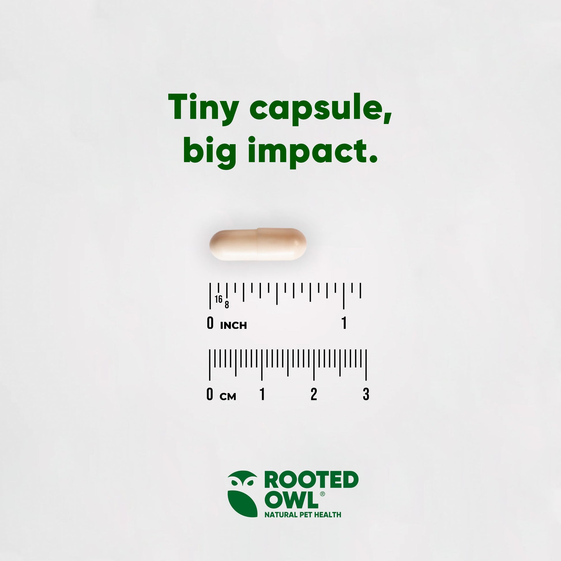 Small capsule with a ruler for scale and 'Rooted Owl' branding on a light gray background.