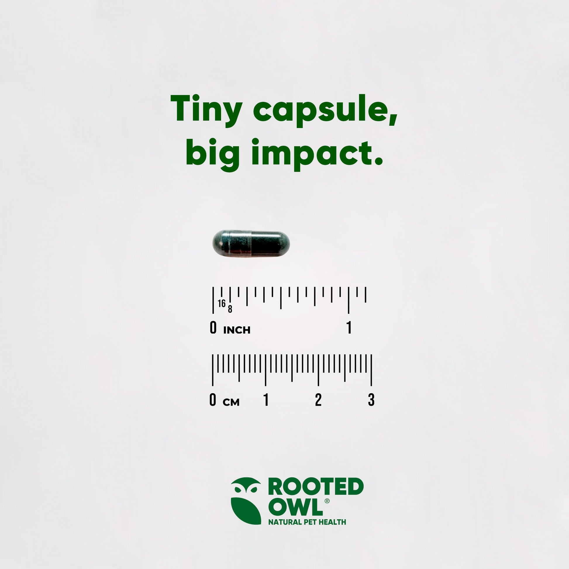 Capsule with measurement scale and 'Rooted Owl' logo on a white background