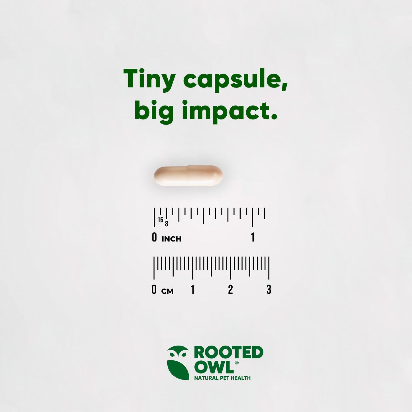 Capsule with a ruler for scale and 'Rooted Owl' branding on a white background