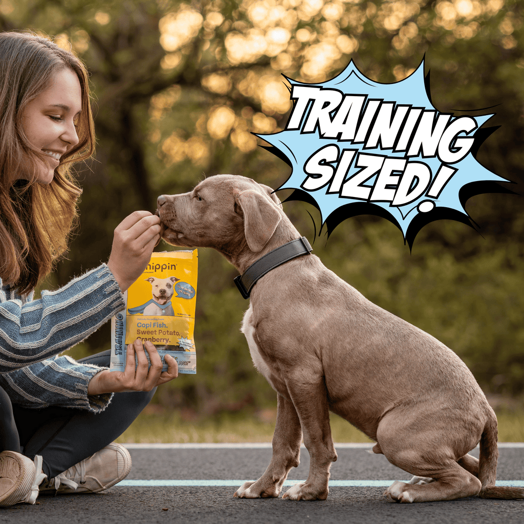 Woman feeding a dog from a Huxton dog food packet with a 'Training Sized!' graphic.