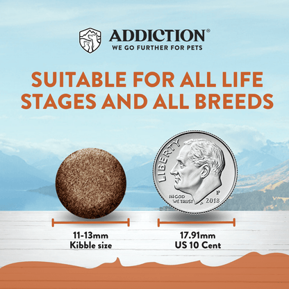 Dog food kibble size comparison with a US coin, labeled 'Addiction' brand.