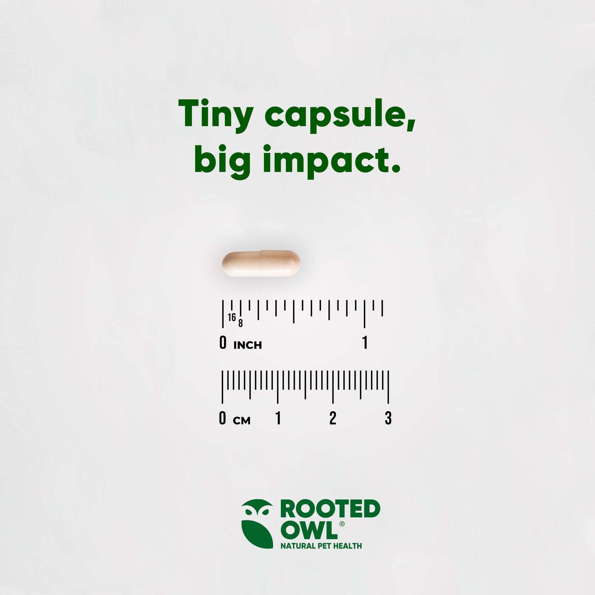 Small capsule with a ruler for scale and 'Rooted Owl' branding on a light gray background.