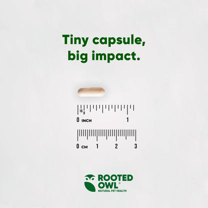 Small capsule with a ruler for scale and 'Rooted Owl' branding on a light gray background.