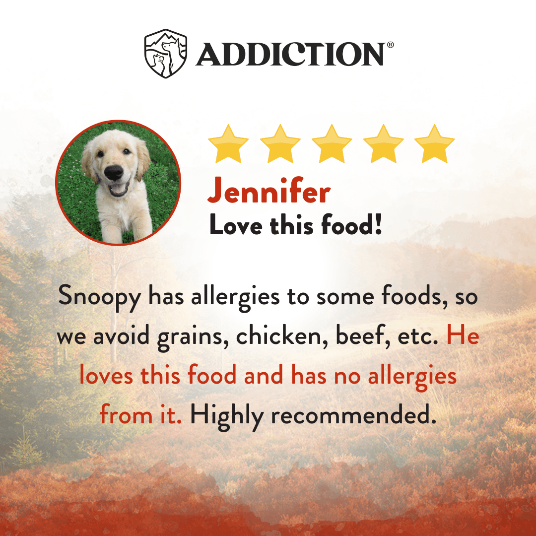Product review card with a dog's picture, five-star rating, and text about a pet food product.