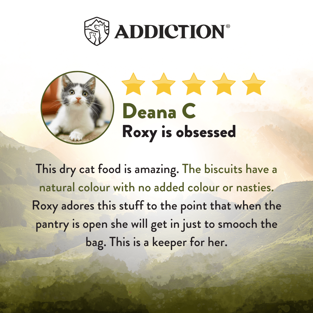 Product review card for cat food with a cat's face, five-star rating, and text about the product's quality.
