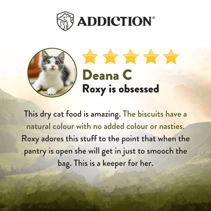 Product review card for cat food with a cat's face, five-star rating, and text about the product's quality.